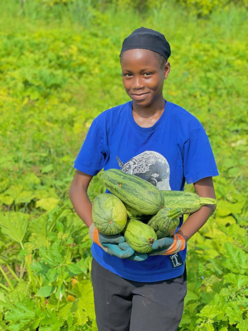 activité en parcelle agricole